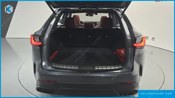 LEXUS NX LUXURY