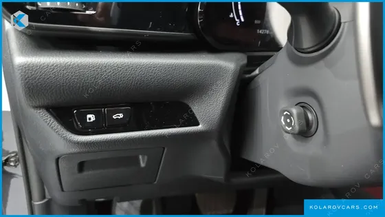LEXUS NX LUXURY
