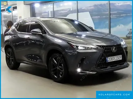 LEXUS NX PREMIUM