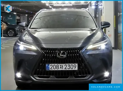 LEXUS NX PREMIUM