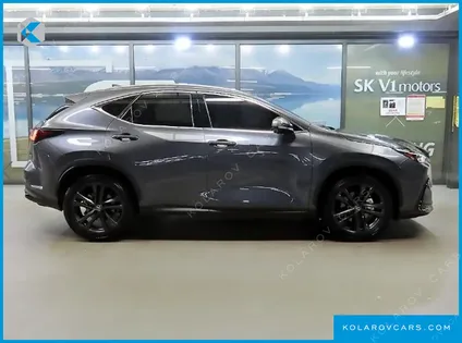 LEXUS NX PREMIUM