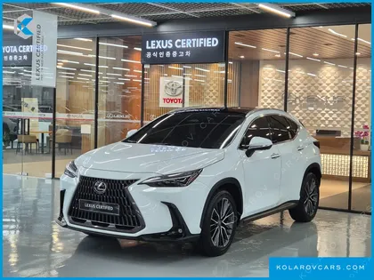 LEXUS NX LUXURY
