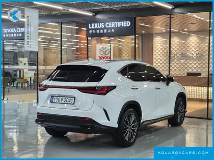 LEXUS NX LUXURY