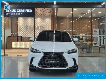 LEXUS NX LUXURY