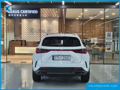 LEXUS NX LUXURY