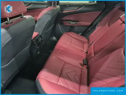 LEXUS NX LUXURY
