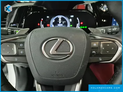LEXUS NX LUXURY
