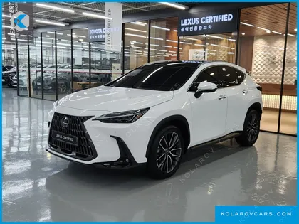 LEXUS NX LUXURY