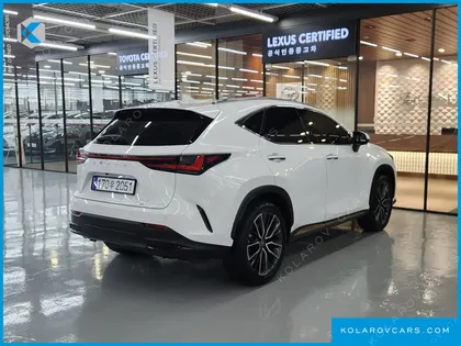 LEXUS NX LUXURY