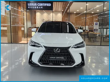 LEXUS NX LUXURY