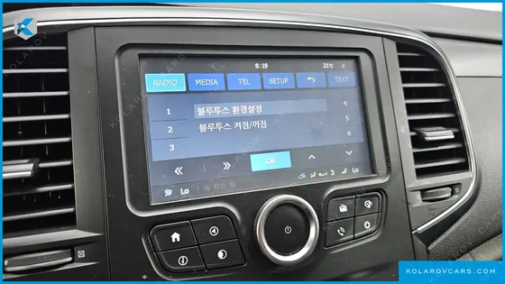 RENAULT KOREA SM6 2.0 PRIME SE