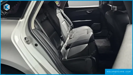 RENAULT KOREA SM6 2.0 LPE PE (RENTAL CAR)