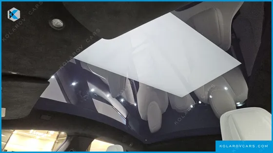 TESLA MODEL S PLAID