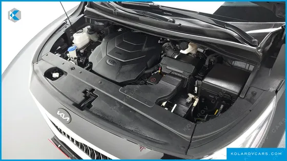 KIA CARNIVAL GASOLINE 9-SEATER HI-LIMOUSINE