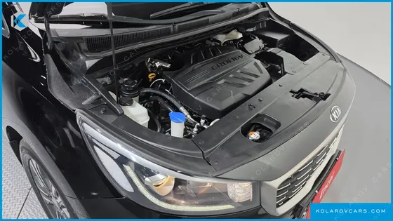 KIA CARNIVAL 9-SEATER LUXURY