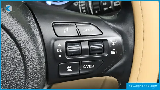 KIA CARNIVAL GASOLINE 7-SEATER LIMOUSINE