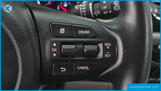 KIA CARNIVAL 9-SEATER PRSTIGE