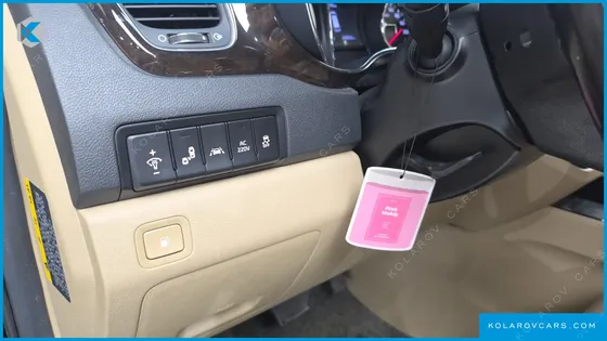 KIA CARNIVAL 9-SEATER NOBLESSE SPECIAL