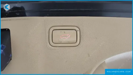 KIA CARNIVAL 9-SEATER NOBLESSE SPECIAL