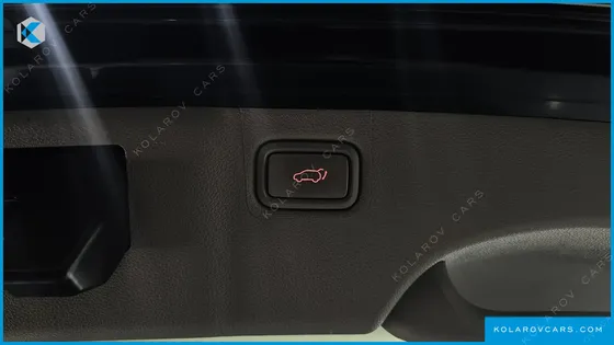 KIA CARNIVAL 9-SEATER NOBLESSE