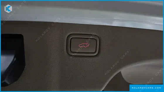 KIA CARNIVAL 9-SEATER NOBLESSE