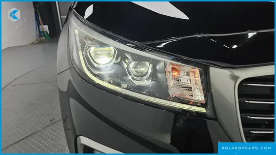 KIA CARNIVAL 9-SEATER NOBLESSE SPECIAL