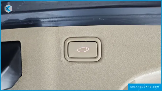 KIA CARNIVAL 9-SEATER NOBLESSE SPECIAL