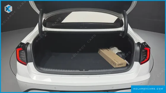 HYUNDAI SONATA 2.0 LPG(RENTAL CAR)