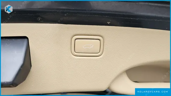 KIA CARNIVAL 9-SEATER HI-LIMOUSINE
