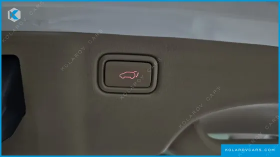 KIA CARNIVAL 9-SEATER NOBLESSE