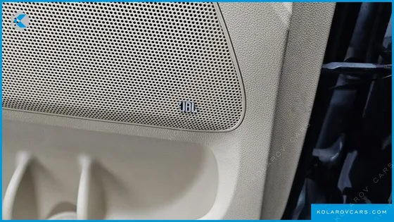 KIA CARNIVAL GASOLINE 9-SEATER HI-LIMOUSINE