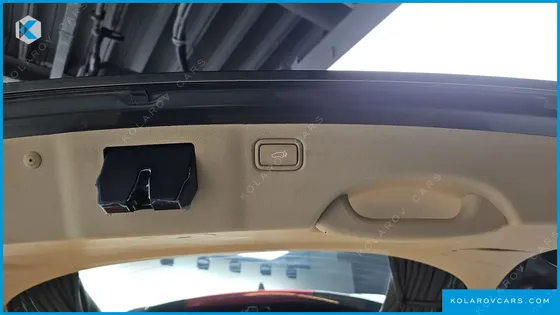 KIA CARNIVAL GASOLINE 9-SEATER HI-LIMOUSINE