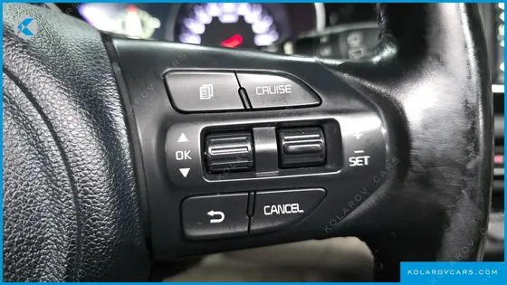 KIA CARNIVAL 9-SEATER NOBLESSE