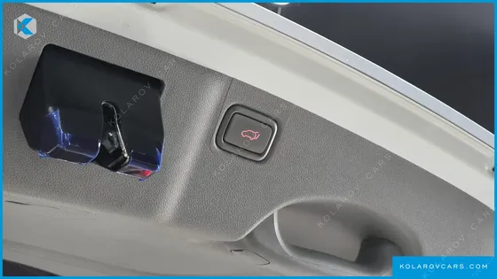 KIA CARNIVAL 9-SEATER NOBLESSE