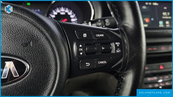 KIA CARNIVAL 9-SEATER LUXURY