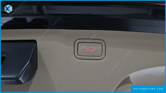 KIA CARNIVAL GASOLINE 7-SEATER HI-LIMOUSINE