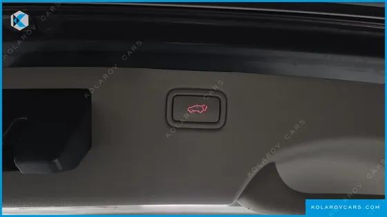 KIA CARNIVAL 9-SEATER NOBLESSE