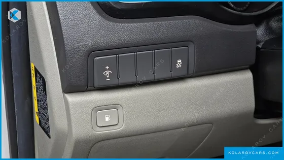 KIA CARNIVAL 9-SEATER LUXURY