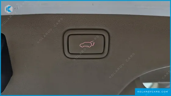 KIA CARNIVAL 9-SEATER NOBLESSE