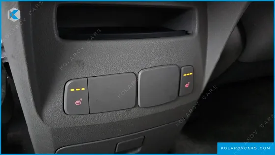 KIA CARNIVAL 9-SEATER LUXURY