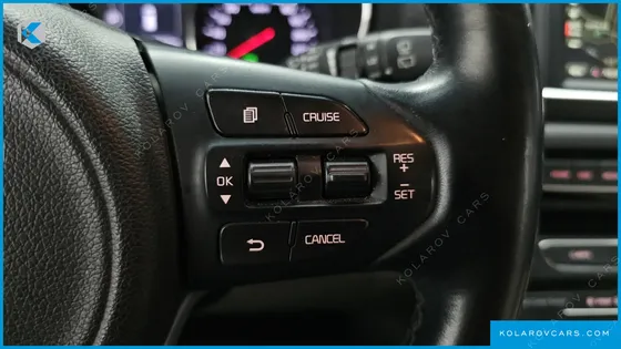 KIA CARNIVAL 9-SEATER LUXURY