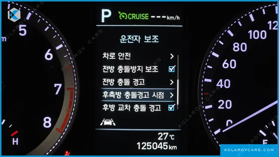 HYUNDAI GRANDEUR 3.0 LPI DSABLED PERSON