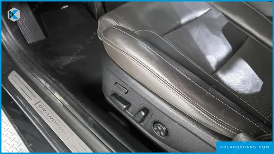 HYUNDAI GRANDEUR 3.0 LPI DSABLED PERSON
