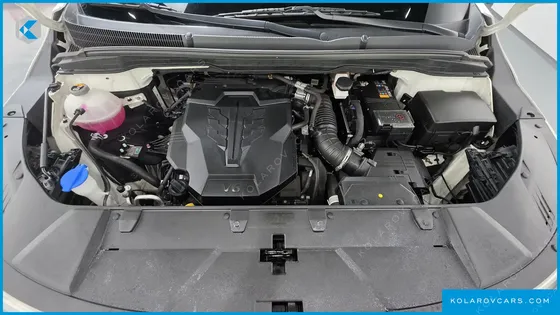 KIA CARNIVAL GASOLINE 9-SEATER HI-LIMOUSINE