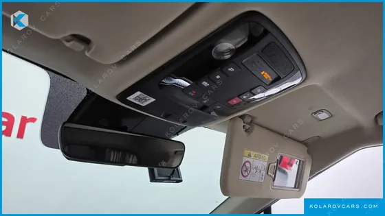 KIA CARNIVAL GASOLINE 9-SEATER HI-LIMOUSINE