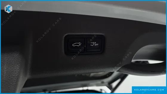 KIA CARNIVAL DIESEL 9-SEATER HI-LIMOUSINE