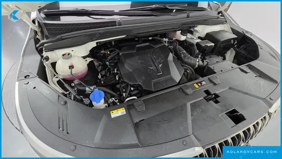 KIA CARNIVAL GASOLINE 4-SEATER HI-LIMOUSINE