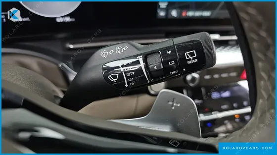 KIA CARNIVAL GASOLINE 9-SEATER HI-LIMOUSINE