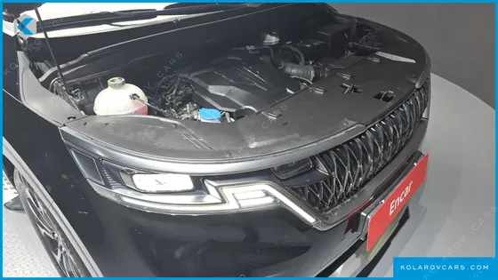 KIA CARNIVAL GASOLINE 9-SEATER HI-LIMOUSINE