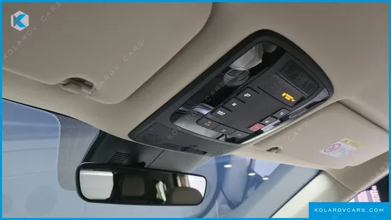 KIA CARNIVAL GASOLINE 9-SEATER HI-LIMOUSINE